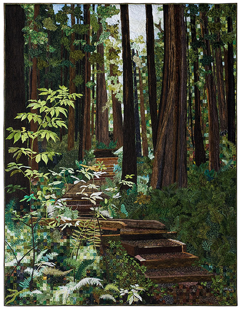 Forest Walk samll